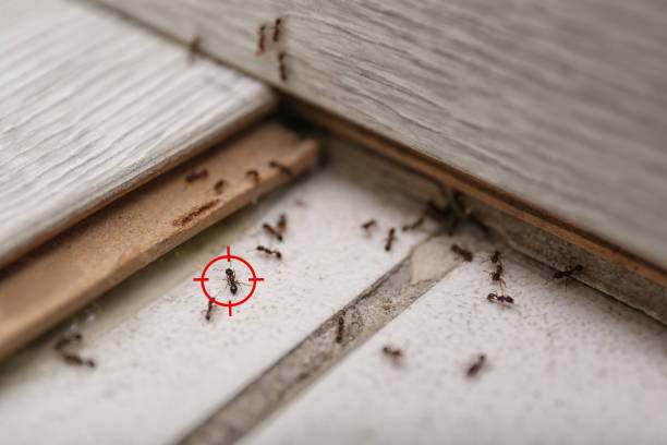 Best Exterminator Services  in Cincinnati, OH