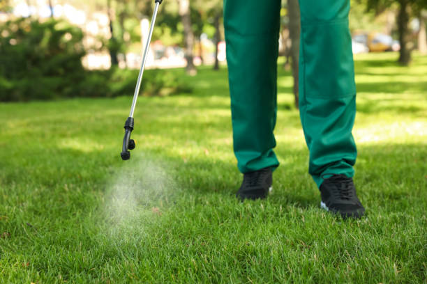 Best Local Pest Control Services  in Cincinnati, OH
