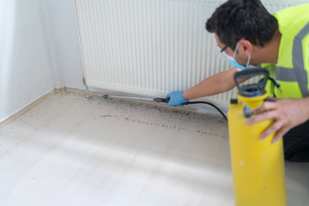Best Wasp Removal Services  in Cincinnati, OH