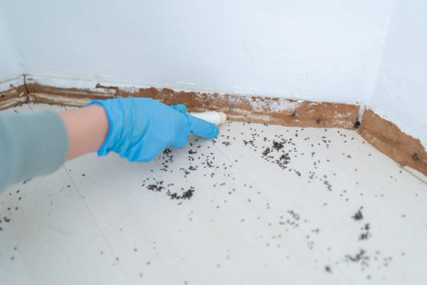 Best Cockroach Control Services  in Cincinnati, OH