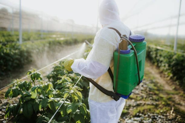 Best Best Pest Control Companies  in Cincinnati, OH
